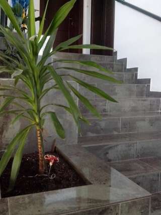 Апартаменты Apartments 